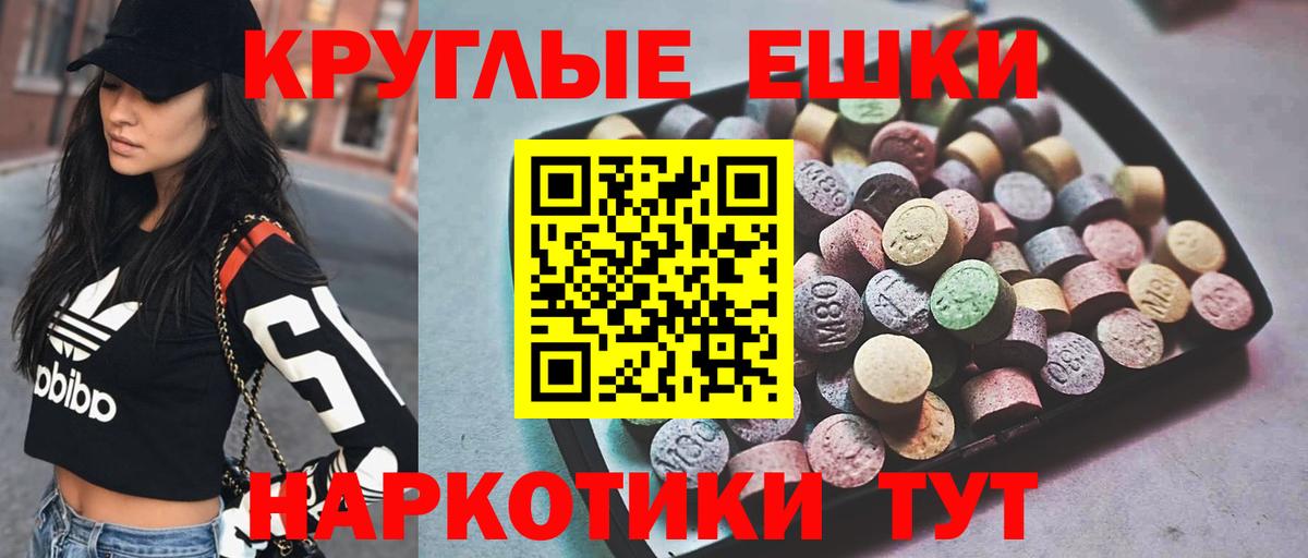 Шебекино  Ecstasy Philipp Plein  Экстази  Ecstasy XTC  Вход с VPN 
