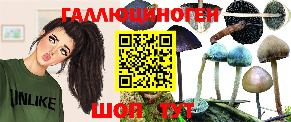 Галлюциногенные грибы Cubensis  Вход с VPN  Шебекино  Галлюциногенные грибы ЛСД 